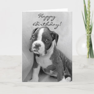 Carte Happy Birthday Boxer puppy