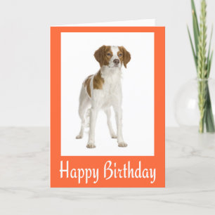 Carte Happy Birthday Brittany Spaniel Puppy Dog Card