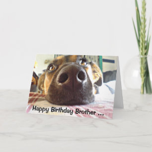 Carte Happy Birthday Brother One I look up to ! Cute Dog