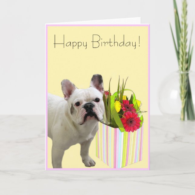 Carte Happy Birthday french bulldog greeting (Devant)