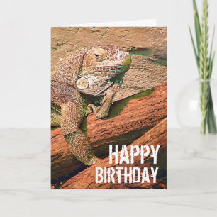 Carte Happy Birthday - Lazy Lounge Lizard Chillaxing