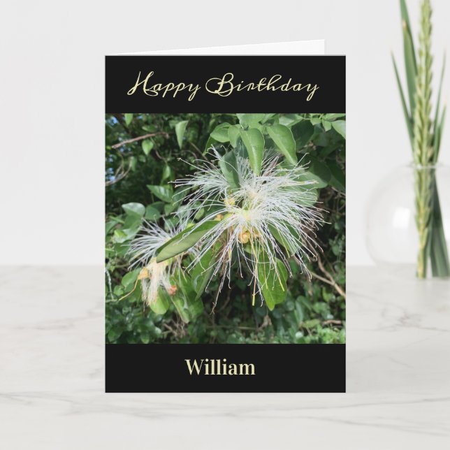 Carte Happy Birthday Men Dad Nature Photo Personalize   (Devant)