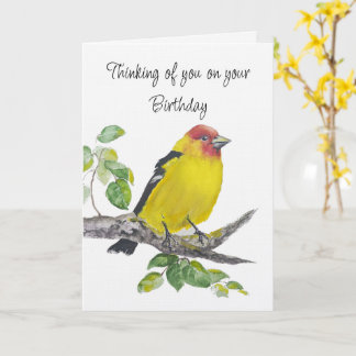 Carte Happy Birthday Watercolor Western Tanager Bird