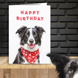 Carte Happy Border Collie Lire Heart Bandana Anniversair