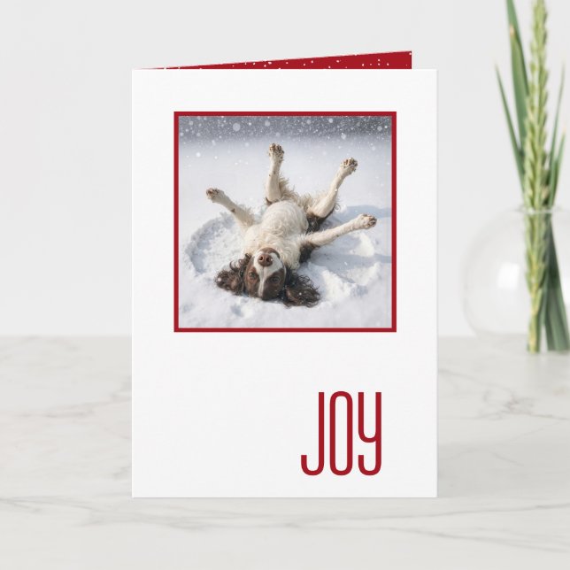 Carte Happy Holidays English Spring Spaniel (Devant)