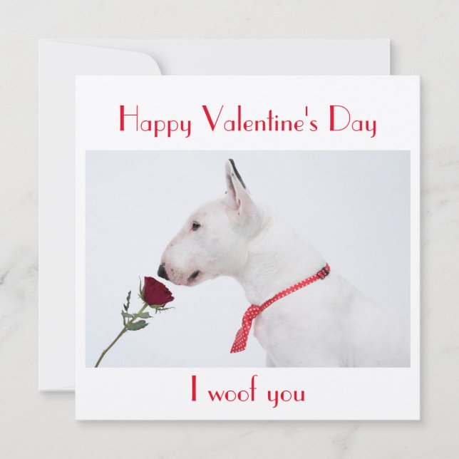 Carte Happy Valentine's Day Bull Terrier with a Rose (Devant)