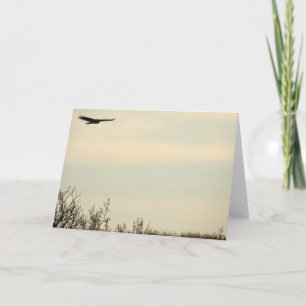 Carte haute note Hawk Flying