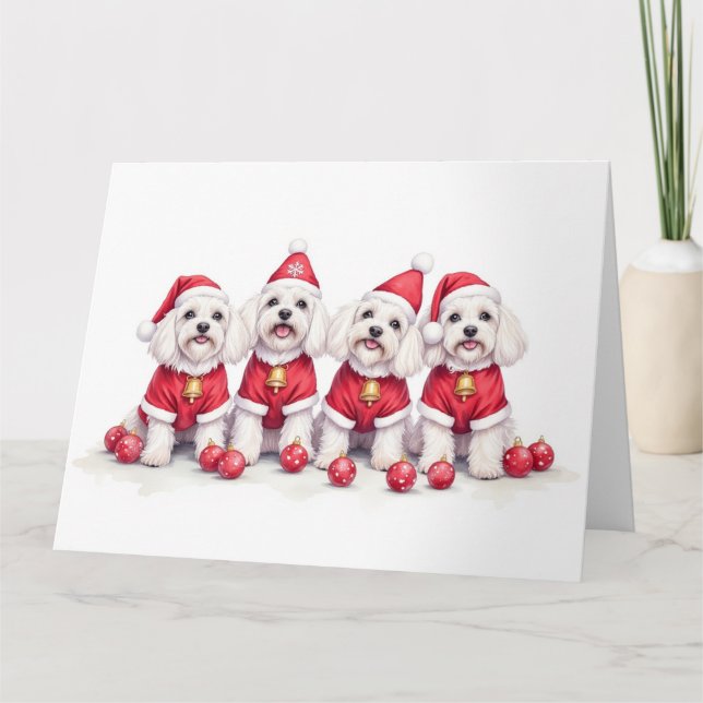 Carte Havanese Christmas Dress Santa Hat (Devant)