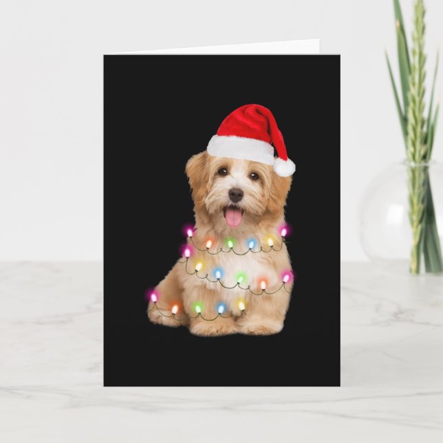 Carte Havanese puppy christmas gift for her (Devant)