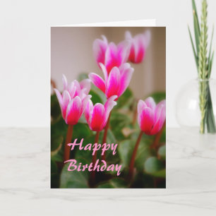 Carte Hawaii rose Cyclamen Fleurs, Anniversaire