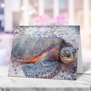 Carte Hawaii Tropical Honu Sea Turtle Photo Détente Scri