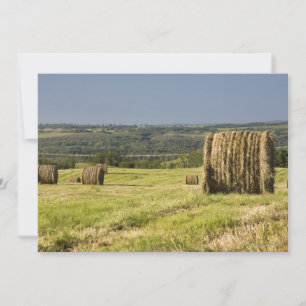 Carte Hay Bales