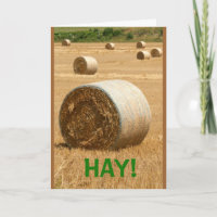HAY ! Bonne Fête des pères
