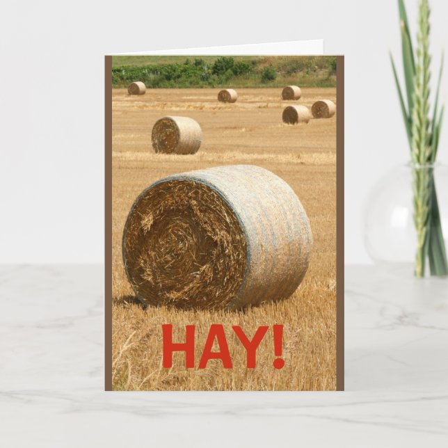 Carte HAY ! Seriez-vous mon Valentin ? (Devant)