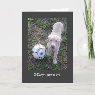 Carte Hé, Sport. Fête des pères de chiot du laboratoire