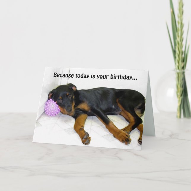 Carte Heidi et Ball Birthday Card (Devant)