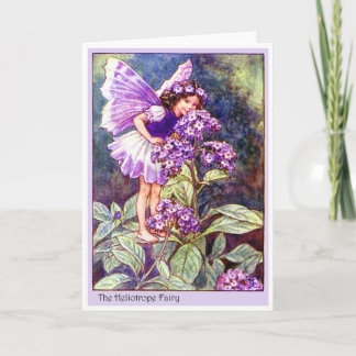 Carte Héliotrope Fairy