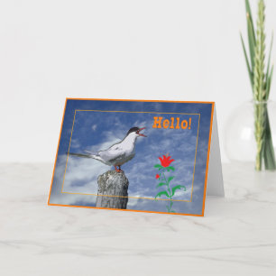 Carte Hello card