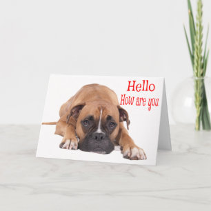 Carte Hello / Hi Boxer Puppy - Chien Brown & Blanc