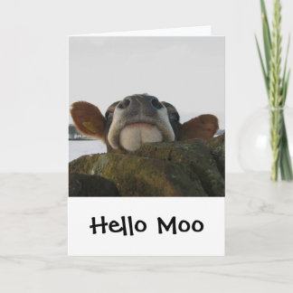 Carte Hello Moo