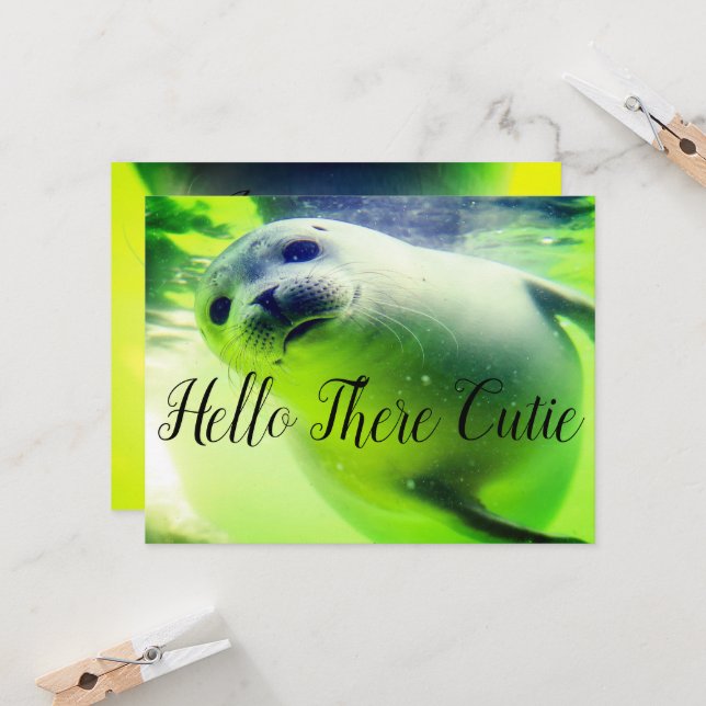 Carte Hello There Cutie (Devant/Arrière en situation)