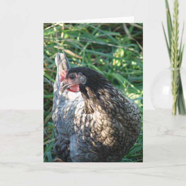 Carte Hen bleu (Devant)