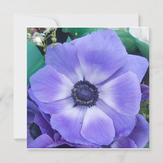 Carte Henrietta (Devant)