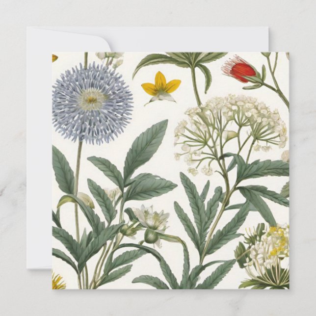 Carte Herbal Harmony (Devant)