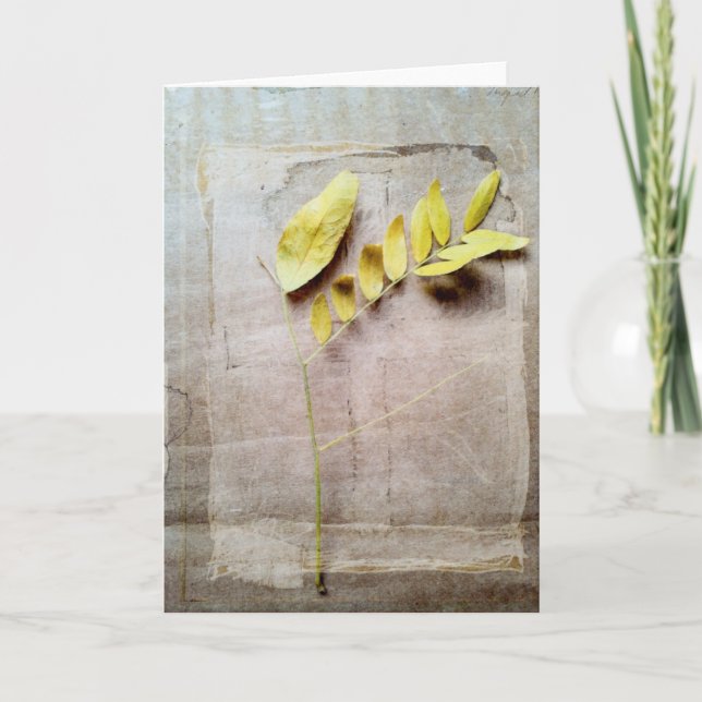 Carte Herbarium V (Devant)