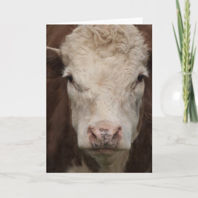 Carte Hereford (Devant)