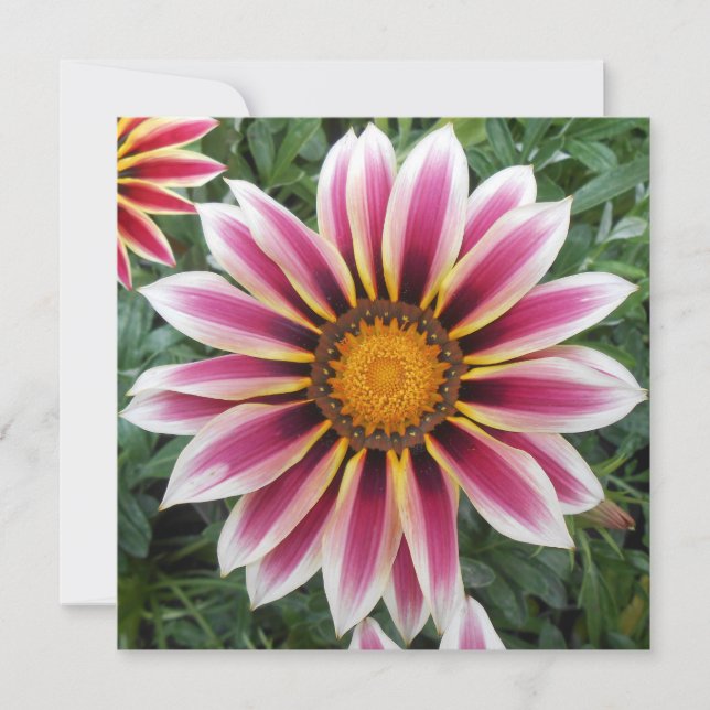 Carte Hereford (Devant)