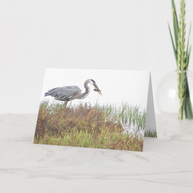 Carte Heron Bird Animaux sauvages Milieux humides (Devant)