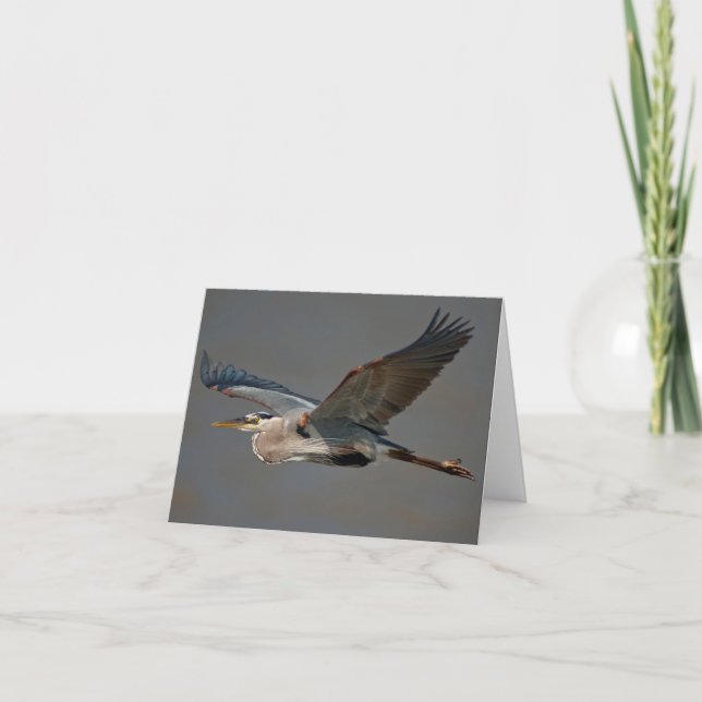 Carte Héron de grand bleu en vol - (herodias d'Ardea) (Devant)