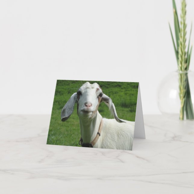 Carte heureuse de chèvre (Devant)