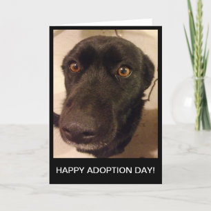 Carte heureuse de jour d'adoption de chien triste