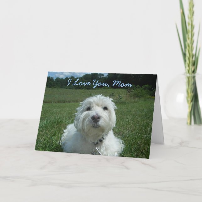 Carte heureuse du jour de mère de maman de Westie (Devant)