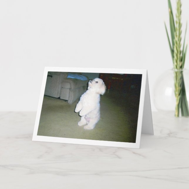 Carte heureuse maltaise de fête des pères (Devant)