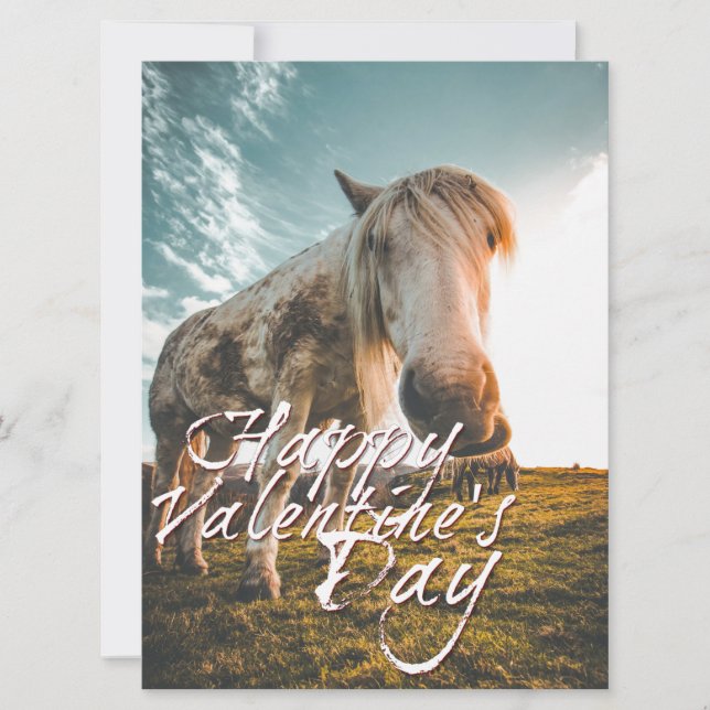Carte Heureuse Sainte-Valentin avec regard Cheval (Devant)