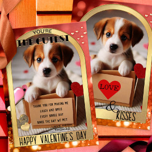 Carte Heureuse Sainte-Valentin Chien Chien Mignonn