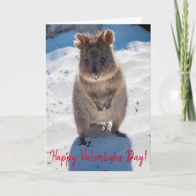 Carte Heureuse Sainte-Valentin Cute Quokka sur la plage (Devant)