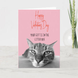 Carte Heureuse Sainte-Valentin De Chat À Humain Drôle