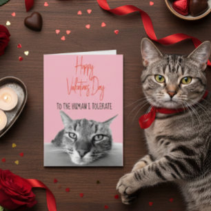 Carte Heureuse Sainte-Valentin De Chat À Humain Drôle
