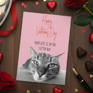 Carte Heureuse Sainte-Valentin De Chat À Humain Drôle