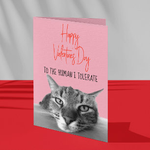 Carte Heureuse Sainte-Valentin De Chat À Humain Drôle