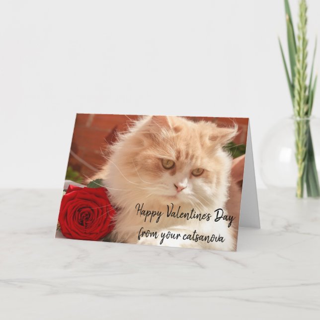 Carte Heureuse Sainte-Valentin De Votre Chat Catsonova (Devant)