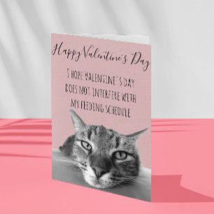 Carte Heureuse Sainte-Valentin Du Chat Au Humour Humain