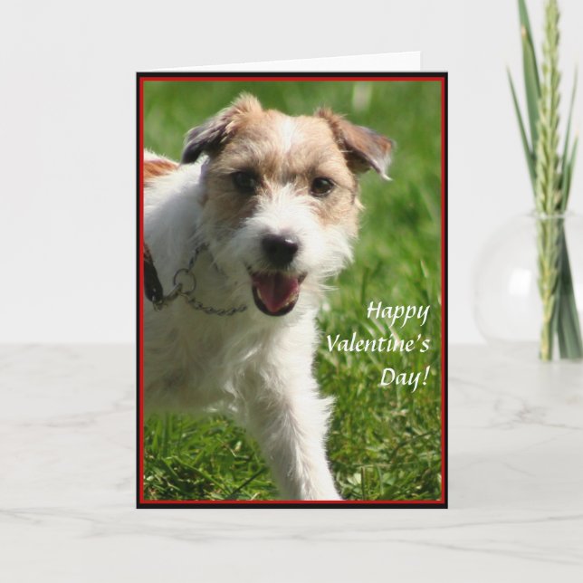 Carte Heureuse Sainte-Valentin Jack Russell Terrie (Devant)