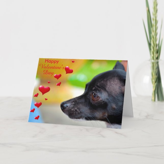 Carte Heureuse Sainte-Valentin Miniature Pinscher (Devant)