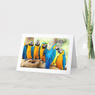 Carte HEUREUX **16ème** ANNIVERSAIRE 