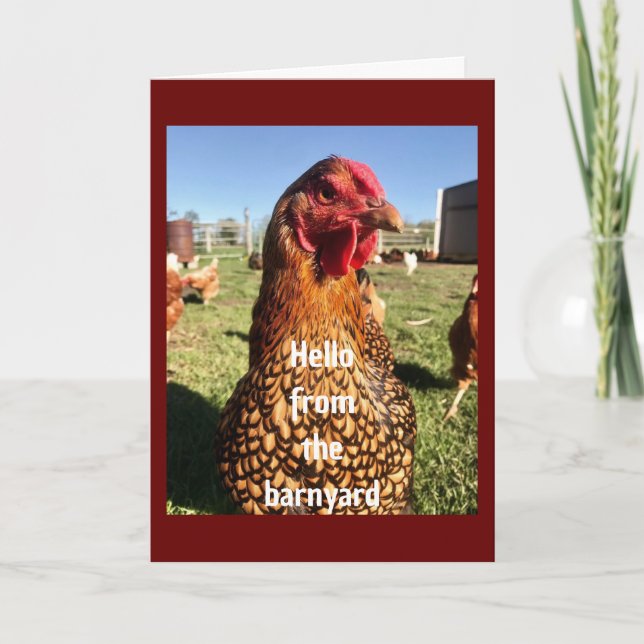 Carte "HEUREUX 50ème anniversaire" D'UN COOL POULET (Devant)